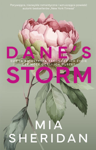 Okładka książki - 'Dane's Storm'