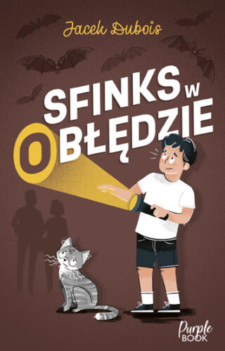 Okładka książki - 'Sfinks w (o)błędzie'